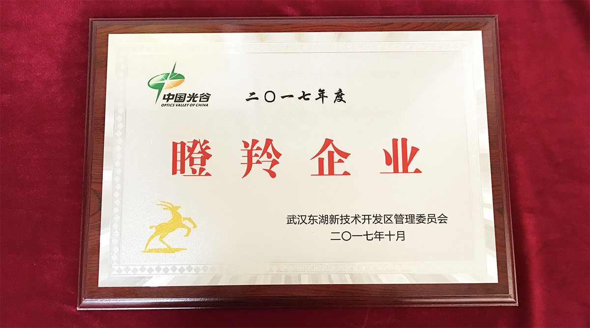 祝贺精准特马免费资料荣获中国光谷2017年度“瞪羚企业”！